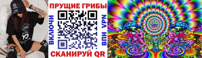 Галлюциногенные грибы Magic Shrooms  Печора 